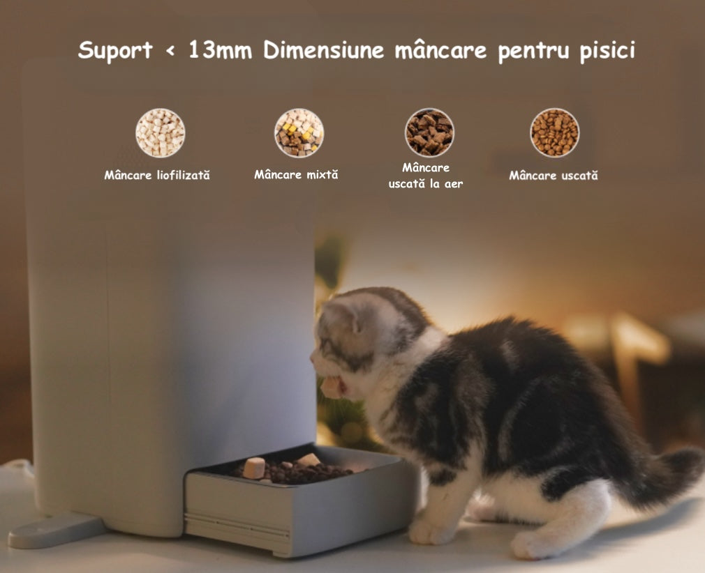Hranitor automat pentru pisici