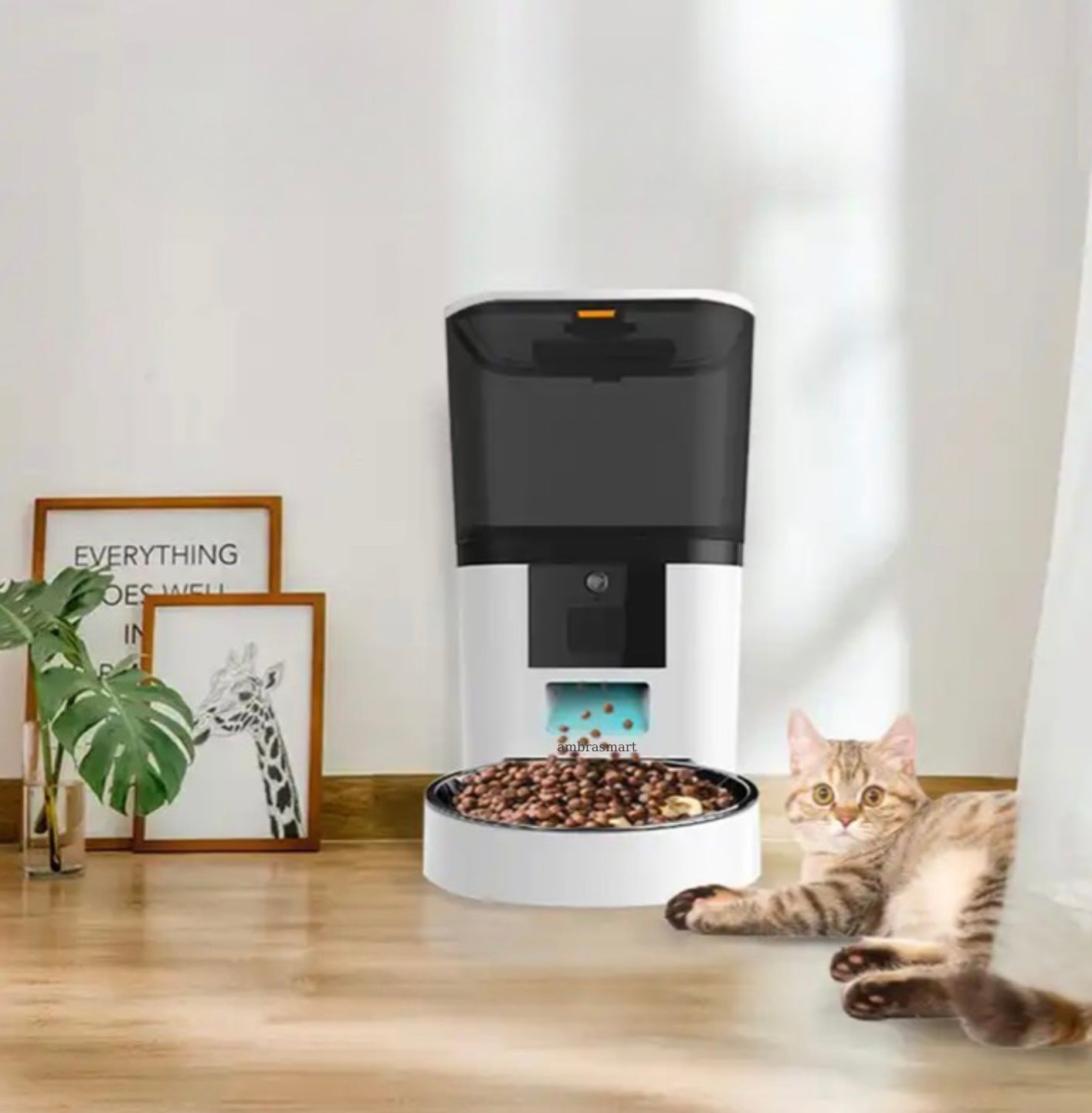 Solutie de hranire a animalelor de la distanta